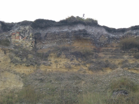 014Dunwich cliffs (640x480)